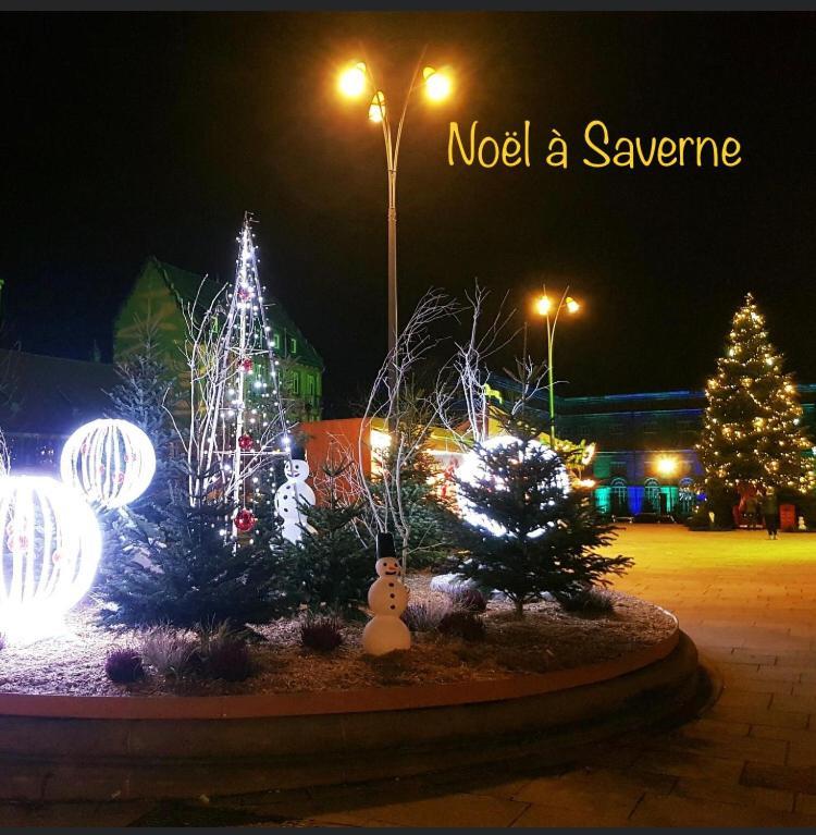 Casasavernoise O Sonho Appart2 Saverne Kültér fotó